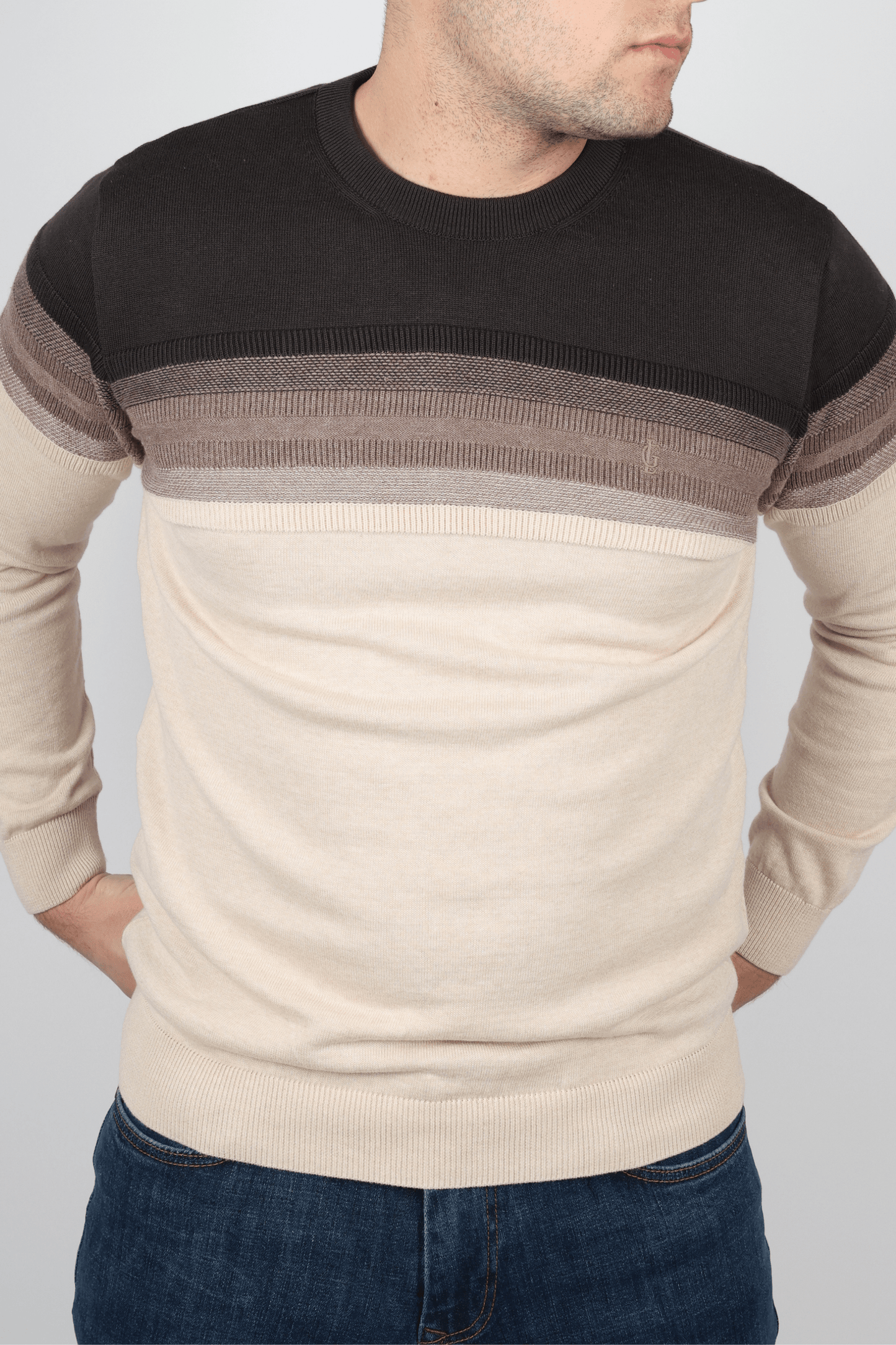 Мъжки Пуловер, Бежов Roberto Fashion Store Sweater ROBE1116 M INTL Beige